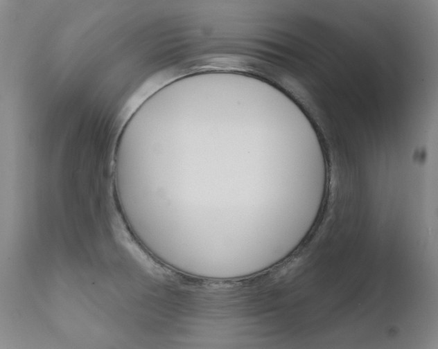 X0000111621378200907171053