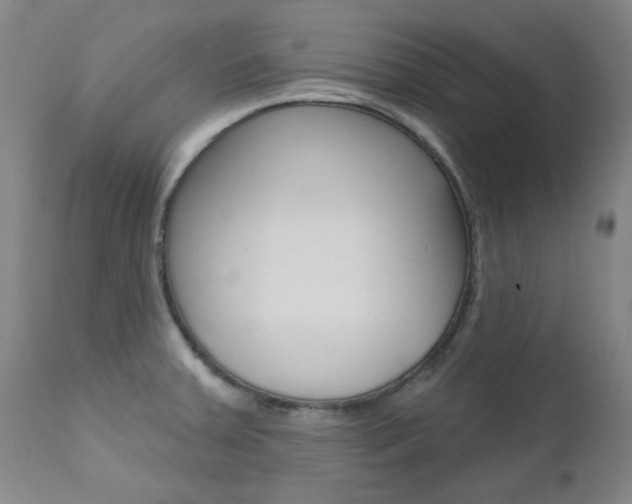 X0000111621379200907171053