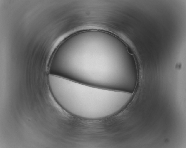 X0000111621380200907171053
