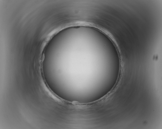 X0000111621381200907171053