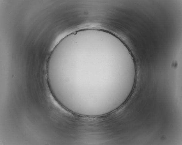 X0000111621382200907171053