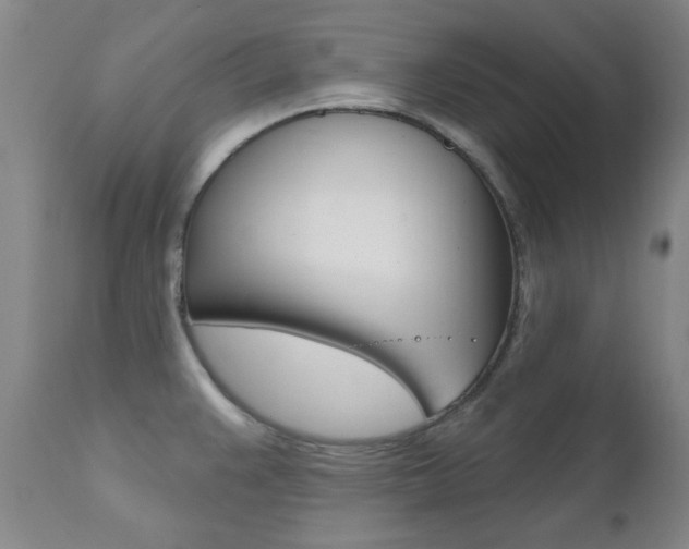 X0000111621383200907171053