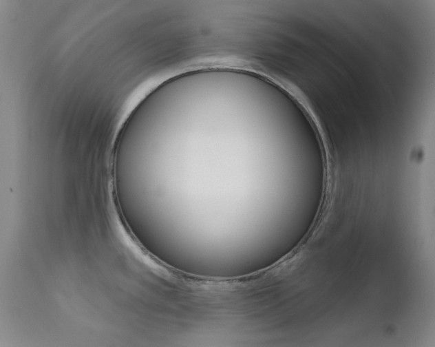 X0000111621389200907171053
