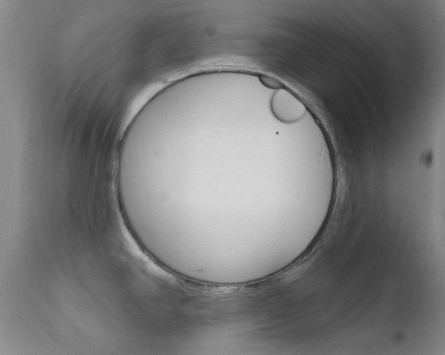 X0000111621390200907171053