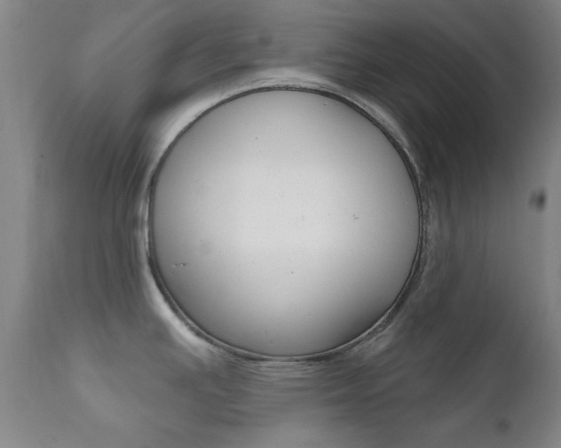 X0000111621391200907171053