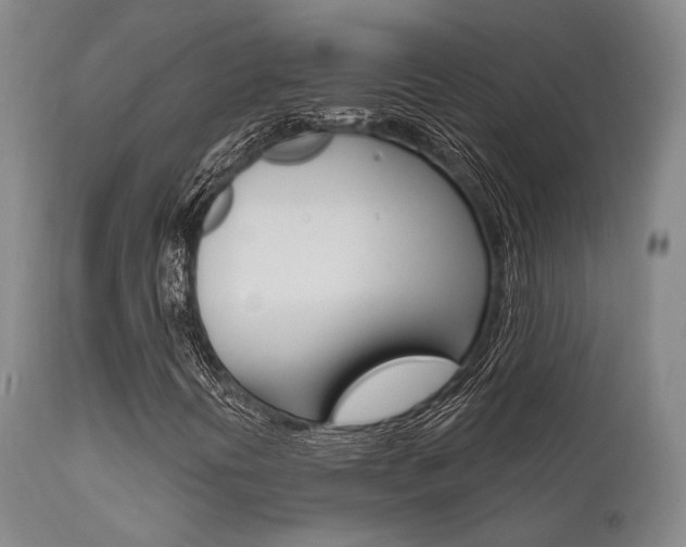 X0000111621394200907171052