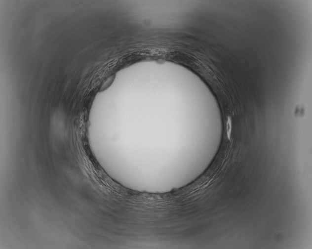 X0000111621395200907171052
