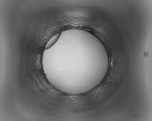 X0000111621396200907171052