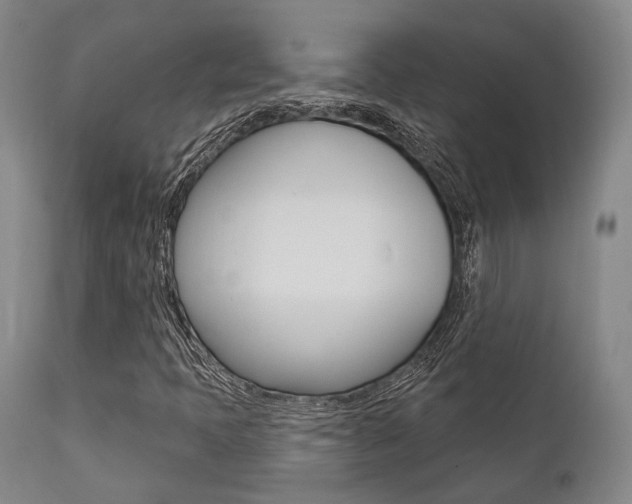 X0000111621397200907171052