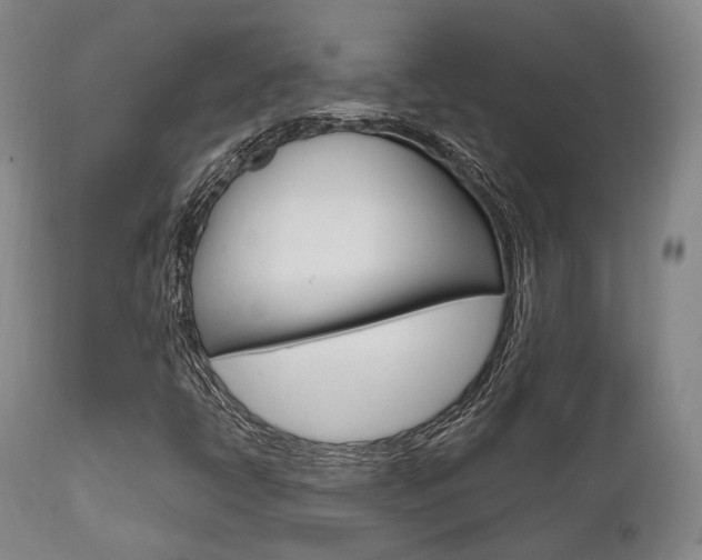 X0000111621398200907171052