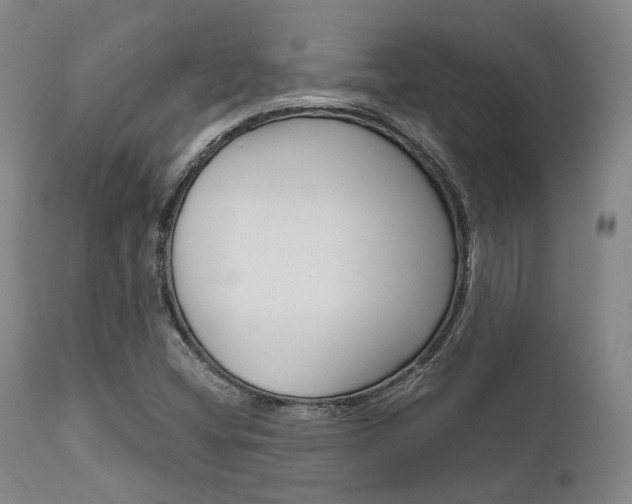 X0000111621404200907171053
