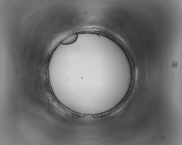 X0000111621405200907171053