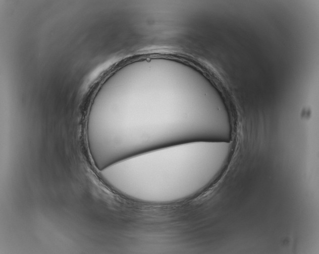 X0000111621406200907171053