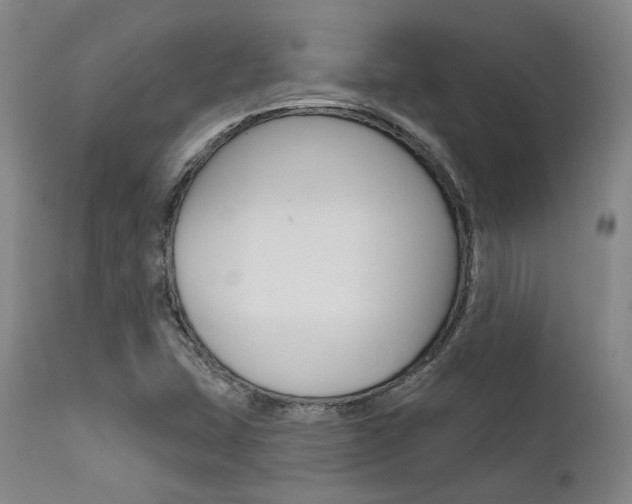 X0000111621407200907171053