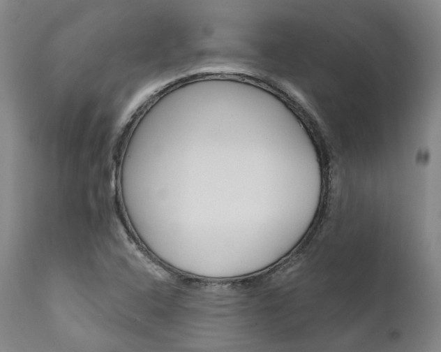 X0000111621408200907171053