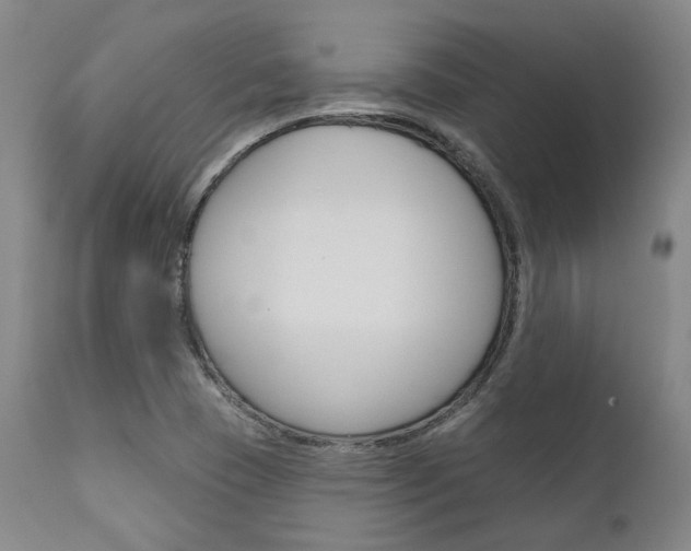 X0000111621409200907171053