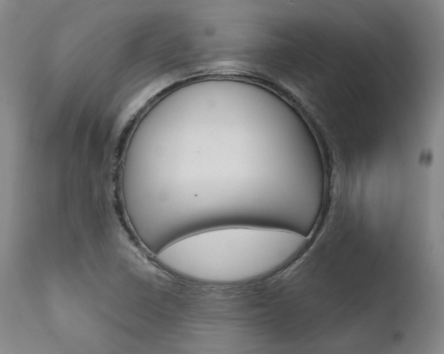 X0000111621410200907171053