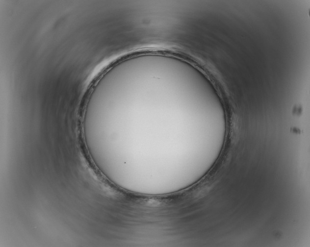 X0000111621412200907171053