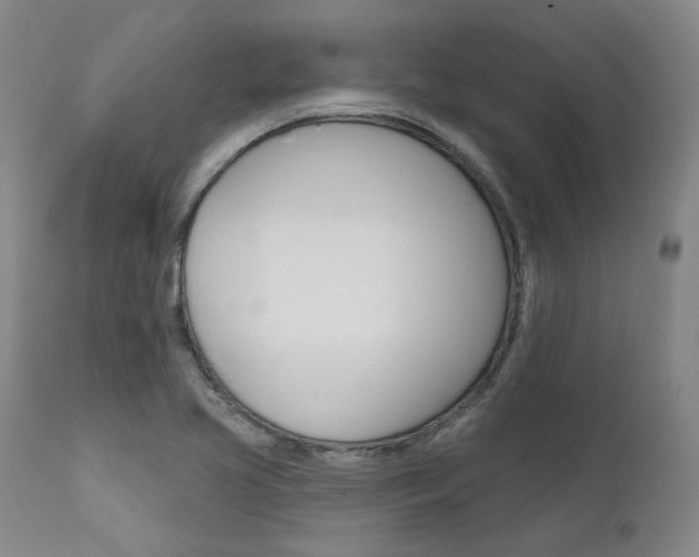X0000111621413200907171053
