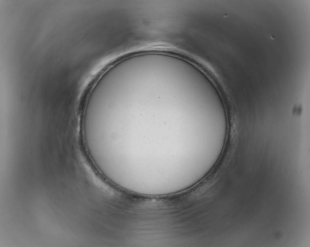 X0000111621414200907171053