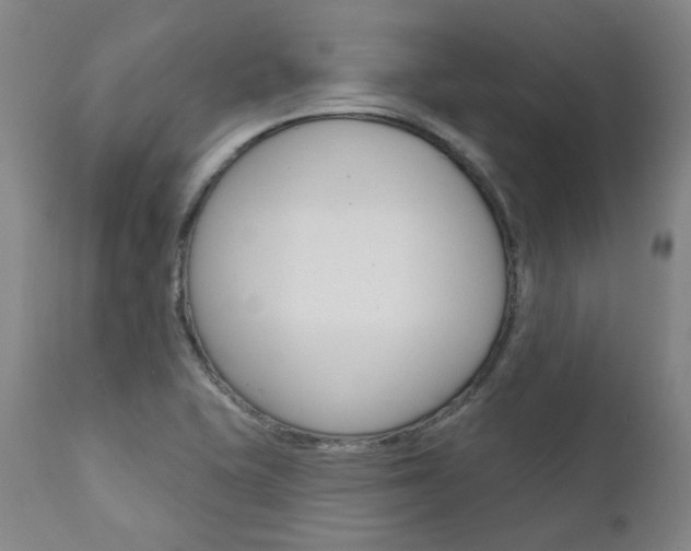 X0000111621415200907171053