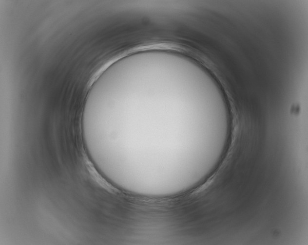 X0000111621417200907171053