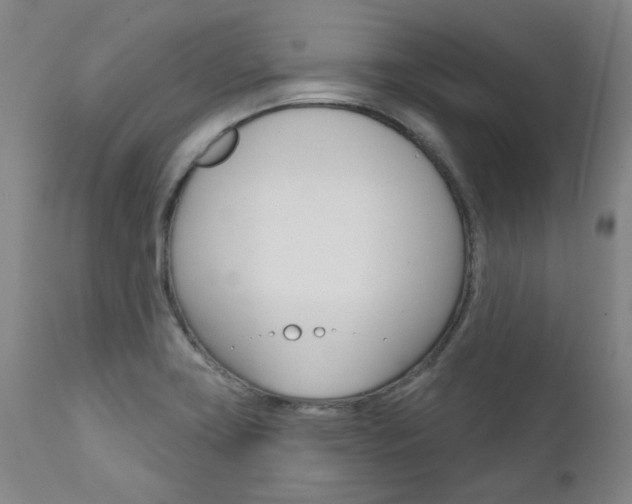 X0000111621419200907171053