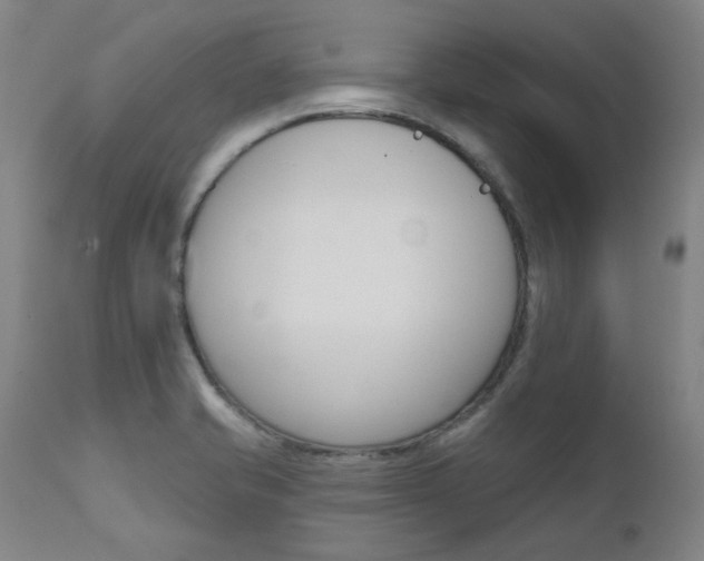 X0000111621421200907171053