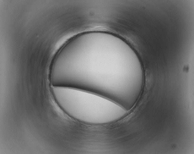 X0000111621422200907171053