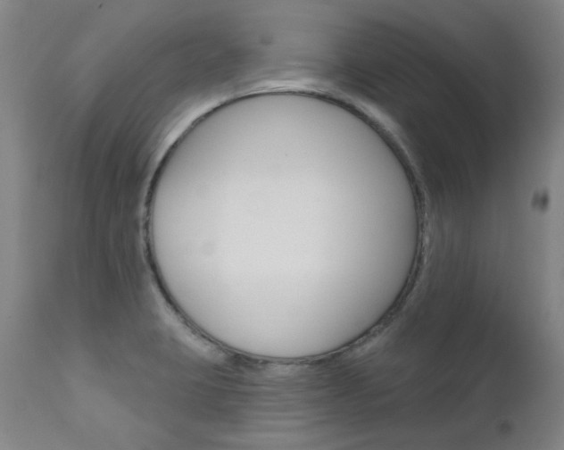 X0000111621423200907171053