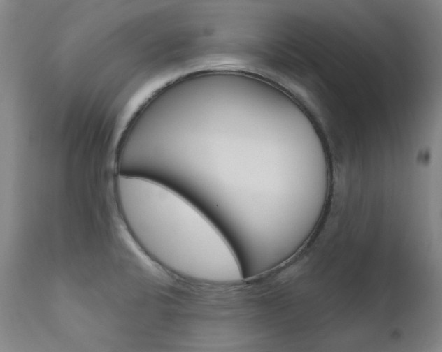 X0000111621424200907171053