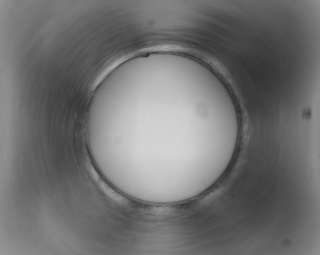 X0000111621425200907171053