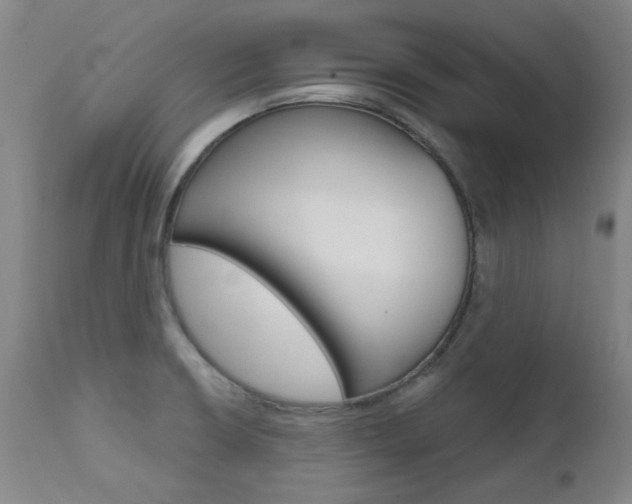 X0000111621426200907171053