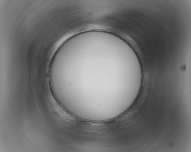 X0000111621427200907171053