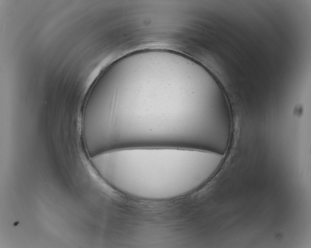 X0000111621428200907171053