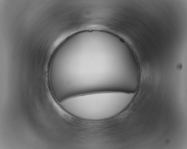 X0000111621430200907171053