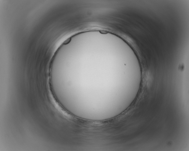 X0000111621431200907171053