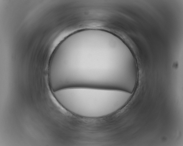 X0000111621432200907171053