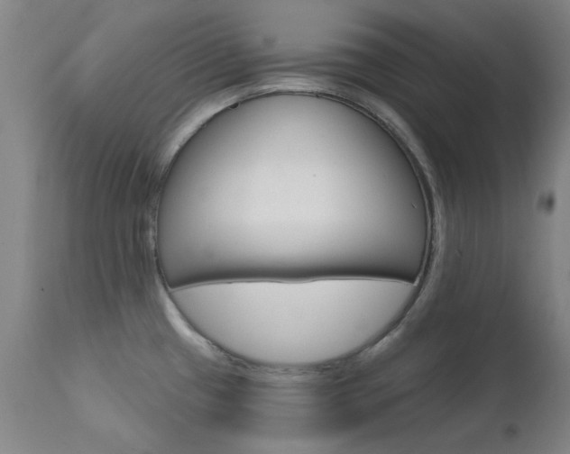 X0000111621433200907171053