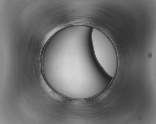 X0000111621434200907171053
