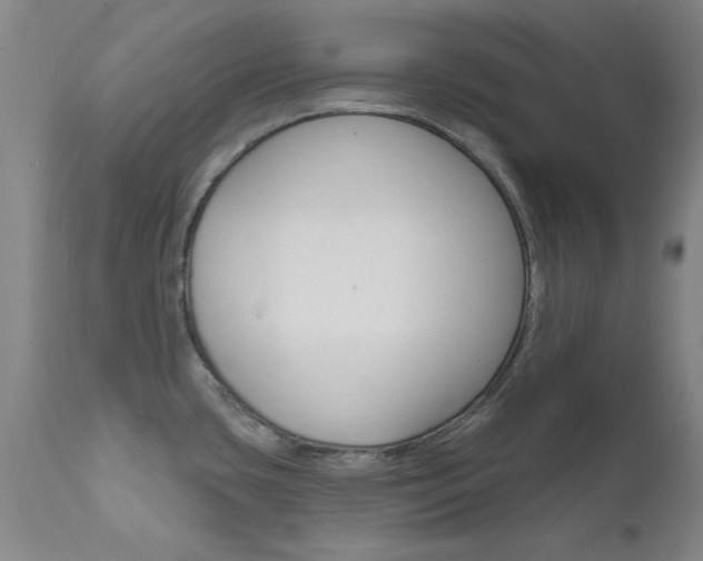 X0000111621435200907171053
