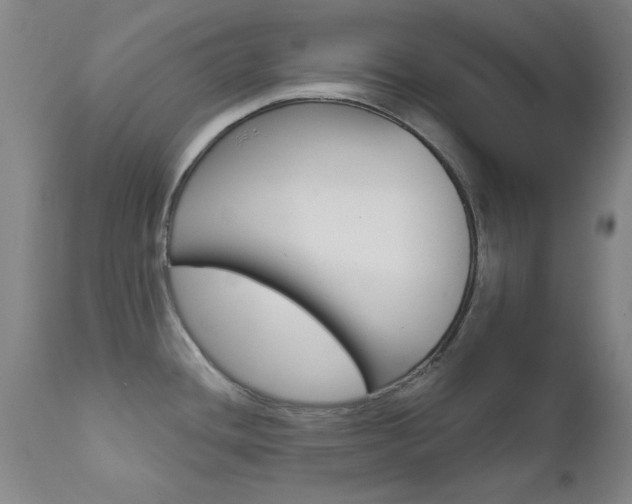 X0000111621436200907171053
