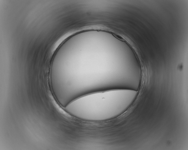 X0000111621438200907171053