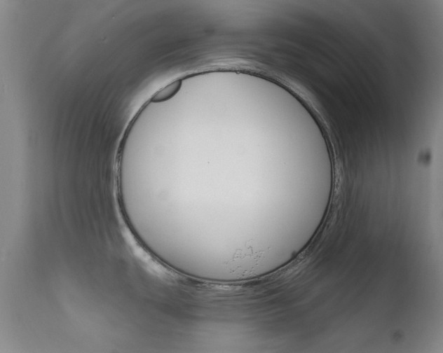 X0000111621439200907171053