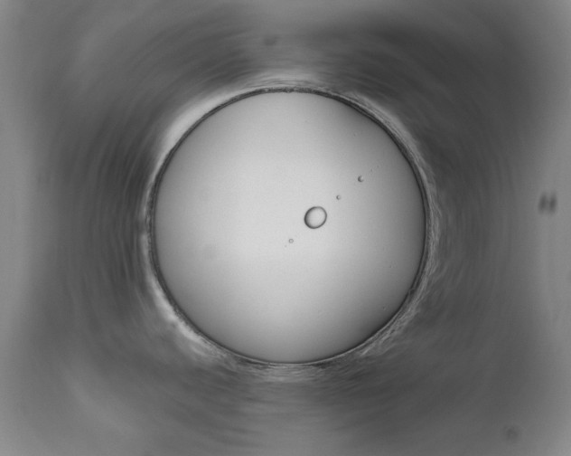 X0000111621440200907171053