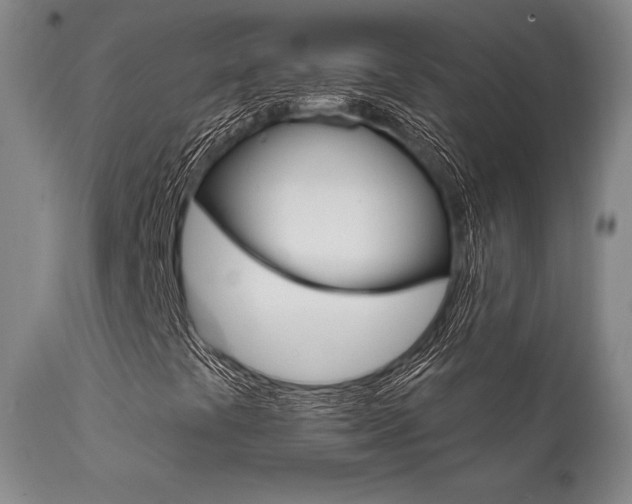 X0000111621441200907171052