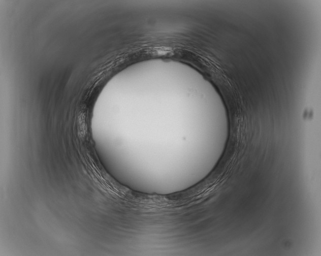 X0000111621442200907171052
