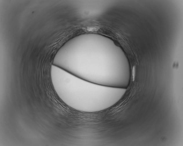 X0000111621443200907171052