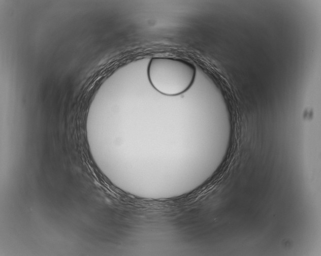 X0000111621445200907171052