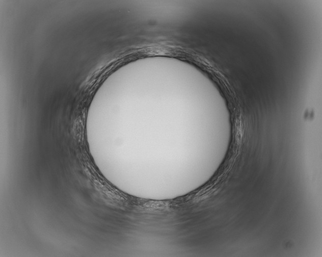 X0000111621446200907171052